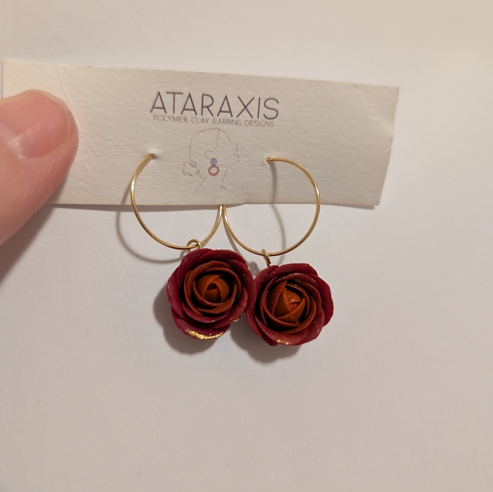 Earrings, never worn